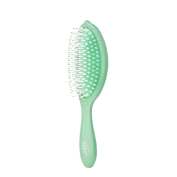 Wet Brush Go Green Treatment & Shine Hair Brush