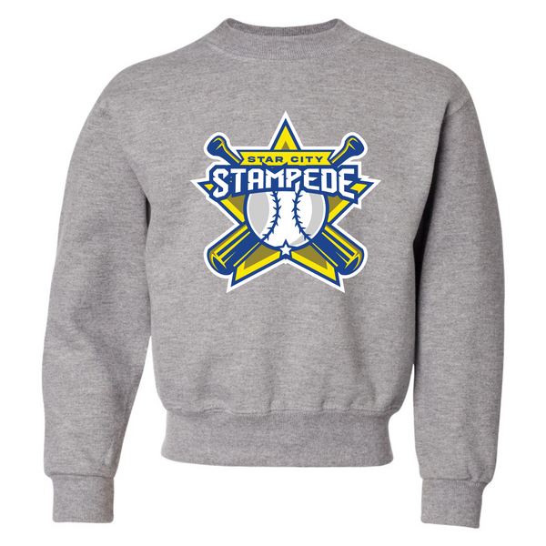 Youth Crew Baseball Sweatshirts