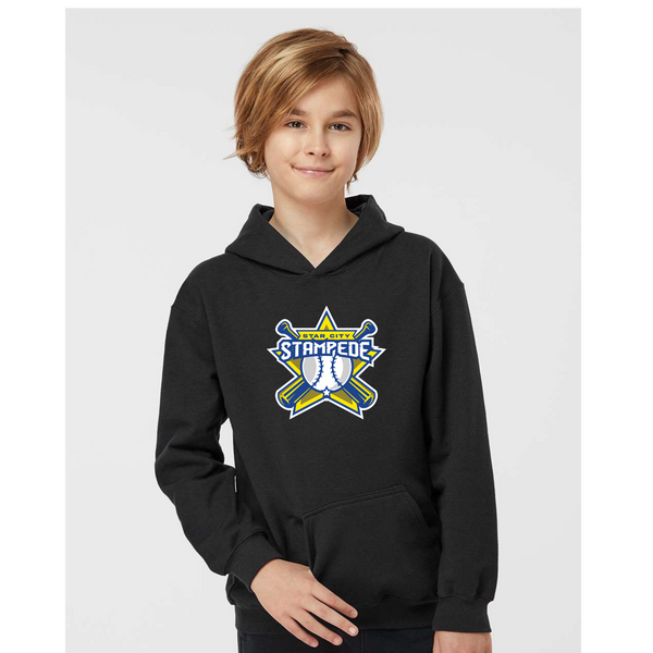 Youth Baseball Hoodies