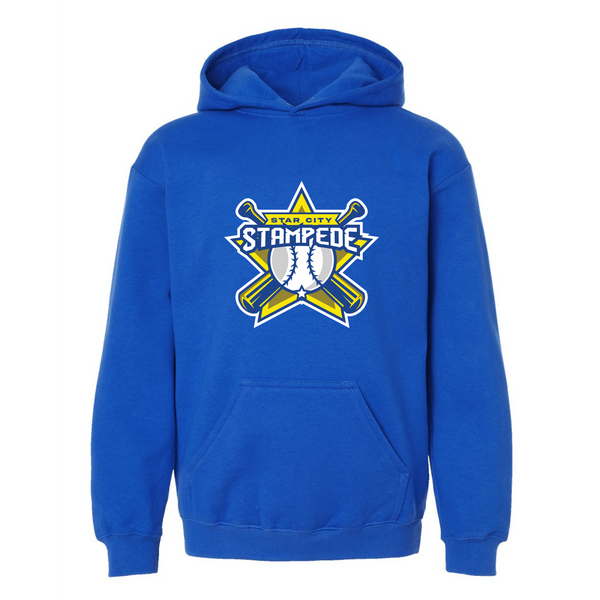 Youth Baseball Hoodies