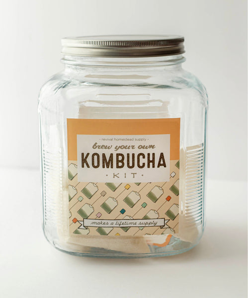 Kombucha DIY Kit