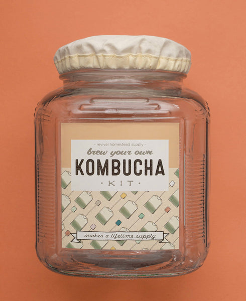 Kombucha DIY Kit