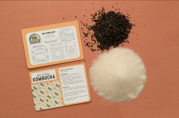 Kombucha DIY Kit