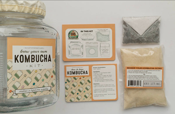 Kombucha DIY Kit