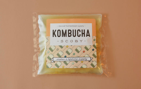 Kombucha DIY Kit